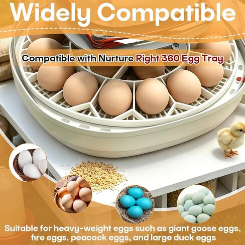 صينية تقليب بيض الأوز الكبيرة JGT360 متوافقة مع أجزاء حاضنة Nurture Right 360، تحمل 10 بيض إوز جامبو، صينية حاضنة البيض المتوافقة مع السلالات الثقيلة للبيض الكبير والثقيل (أبيض) in Kuwait