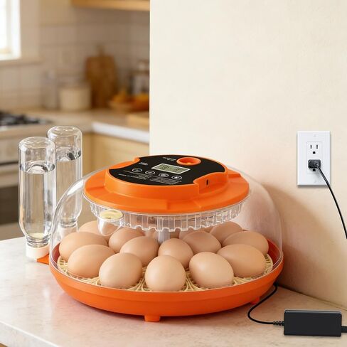 Power Supply Adapter for Onsju 18 Egg Incubator 12V AC/DC Replacement Charger Cord for Automatic Egg Turning Temperature and Humidity Control in Kuwait