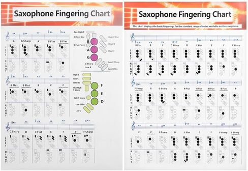 Saxophone Fingering Chart Poster – Alto Sax Basics Exercise Portable Coated Paper Guide for Beginners,Chord Diagrams and Note Range Reference in Kuwait