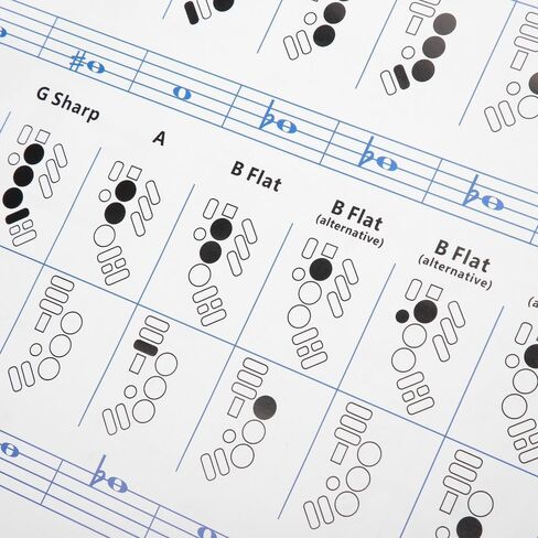 Saxophone Fingering Chart Poster – Alto Sax Basics Exercise Portable Coated Paper Guide for Beginners,Chord Diagrams and Note Range Reference in Kuwait