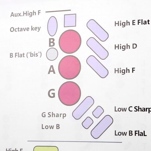 Saxophone Fingering Chart Poster – Alto Sax Basics Exercise Portable Coated Paper Guide for Beginners,Chord Diagrams and Note Range Reference in Kuwait