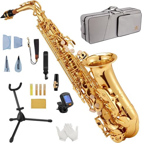STRICH Eb Alto Saxophone Brass Student Beginner Alto Sax Kit with Hard Case Stand Neck Strap Mouthpiece and Reeds for School Band Home Practice, SSA-31G, Gold in Kuwait