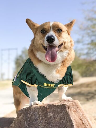 NFL GREEN BAY PACKERS DOG Jersey, Small in Kuwait