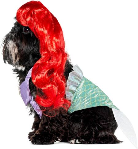 Rubie's Disney: Princess Pet Costume ، Ariel ، Medium (200191_M) in Kuwait