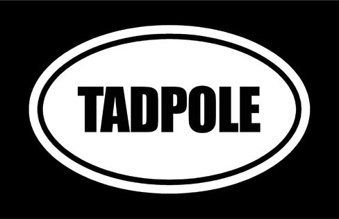 Beach Graphic Pros 6" die Cut White Vinyl Tadpole Oval Euro Style Vinyl Decal Sticker in Kuwait