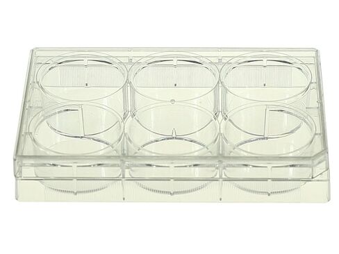 Nest Scientific 703001 Polystyrene 6 Well Cell Culture Plate, Flat Bottom, Tissue Culture Treated, Sterile, Clear, 1 per Pack, 50 per Case (Pack of 50) in Kuwait