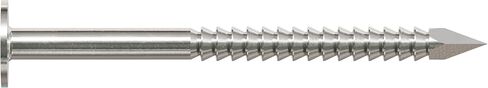 Simpson Strong Tie T610ARN1 6D بلاط السقف والأظافر المسطحة 2 بوصة و10 قياس، ساق حلقية 316 من الفولاذ المقاوم للصدأ، 1 رطل، 105 قطعة in Kuwait