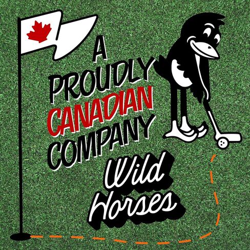 حقيبة أحذية الجولف Wild Horses - قماش مشمع ممتاز بوزن 12oz مع تهوية - منشفة صغيرة مجانية وقرن حذاء - سهل المسح من الداخل - تخزين حقيبة أحذية السفر المقاومة للماء - للرجال والنساء حتى مقاس 14 - أسود in Saudi Arabia