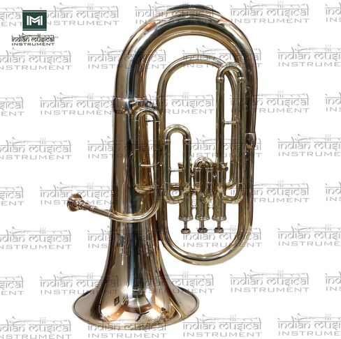 Euphonium 3 Valve Bb Pitch Brass Musical Instrument with Carry Case, Mouthpiece, Suitable for Beginners & Professionals (Gold) in Kuwait