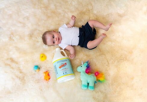 Whip-It Discovery Kit Bundle - Gallon Concentrate and Gallon Laundry, includes 32oz Professional Strength and 32oz Odor Bully (4 Items) in Kuwait
