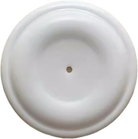 PTFE Diaphragm Replacement For 10# Pneumatic Pump in Kuwait