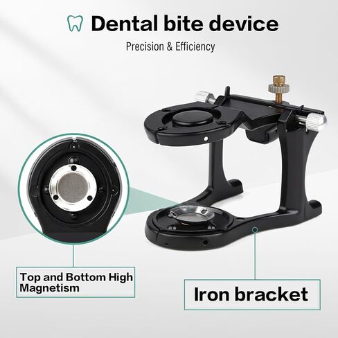 Small Magnetic Articulator, Adjustable Denture Articulator Lab Instruments 5PCS in Kuwait