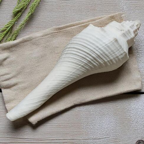 Natural White Shankh for Pooja and Vastu 3.5"Inch Sacred Conch Shell for Blowing and Ritual Use | Hindu Temple Puja Shankha | Blowing Conch for Aarti, Abhishek, and Spiritual Decoration in Kuwait
