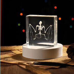 Taxidermy Bat, Real Bat Specimens Animal Specimen in Resin for Science Classroom Science Education, Great Gift for Fans of Taxidermy, Animal Skull, Oddities, Biology(3 x 3 x 1 inch) in Kuwait