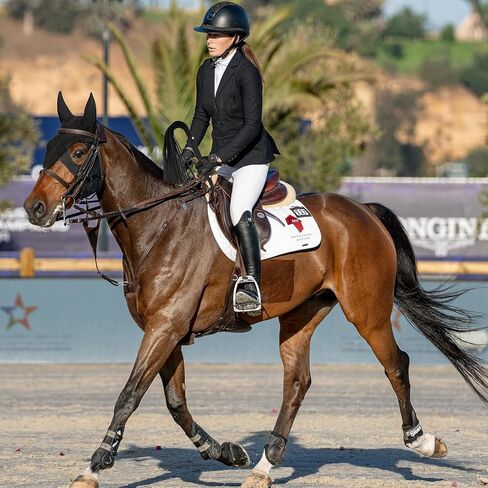 سوط ركوب الخيل، سياط ركوب الفروسية لتدريب الخيل، جلد ناعم خفيف الوزن متعدد الذيل، مقبض غير قابل للانزلاق، متين معزز، قبضة مريحة، هدية لمحبي الخيول باللون الأسود 24 بوصة in Kuwait