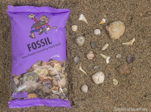 Fossil & Shark Tooth Purple Mining Bag with 9 Real Fossils, 3+ Shark Teeth & ID Guide | Excavation, Sifting, and Discovery in Kuwait