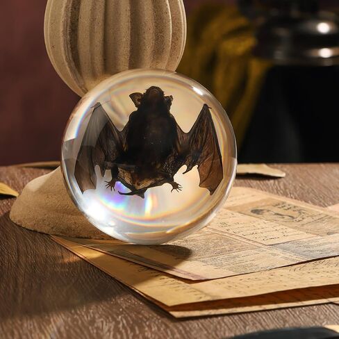 Taxidermy Bat, Real Bat Specimens Animal Specimen in Resin for Science Classroom Science Education, Great Gift for Fans of Taxidermy, Animal Skull, Oddities, Biology(3 x 3 x 1 inch) in Kuwait