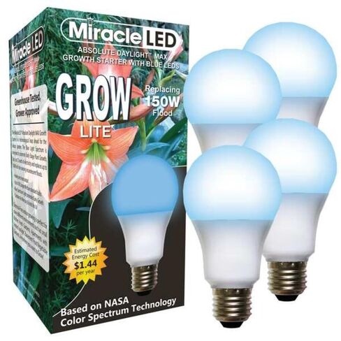 لمبة إضاءة، أزرق Spc Hydrp LED Ultra، PK4 in Kuwait