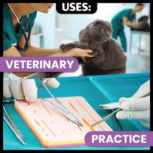 Oasis Vet PGA (Polyglycolic Acid) Surgical Suture, 1, (CP-1) 1/2 37mm Reverse Cutting Needle, 75cm, 12/Box, Veterinary Use in Kuwait