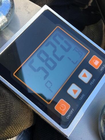 11000lb/5000kg Digital Crane Scale, High Accuracy Hanging Scale, Heavy Duty Electronic Scale LCD Display, Shackle, Kilograms and Pounds Display in Kuwait