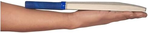 Miniature Cricket Bat for Autograph and Gift Purpose, Natural Wood, 12 Inch, Pack of 1 in Kuwait