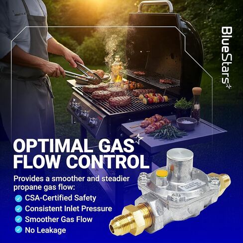BlueStars 1/2" Gas Pressure Regulator, Adjustable Natural Gas and Liquefied Interchange Pressure Regulator with 2 Brass 1/2" NPT Conversion Adapters for NG/LPG Applications Grill, Heater, Oven, Stove in Kuwait