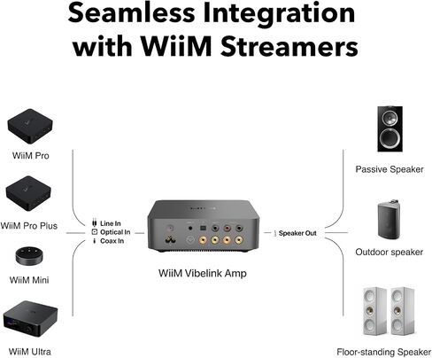 wiim vibelink amp | 100W مضخم طاقة مع Premium ESS 9039Q2M DAC و TI TPA3255 | متوافق مع Wiim Mini ، Pro ، Pro Plus ، و Ultra | RCA ، Coax ، والمدخلات البصرية | الفضاء الرمادي in Kuwait