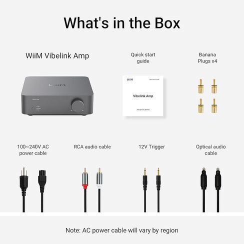 wiim vibelink amp | 100W مضخم طاقة مع Premium ESS 9039Q2M DAC و TI TPA3255 | متوافق مع Wiim Mini ، Pro ، Pro Plus ، و Ultra | RCA ، Coax ، والمدخلات البصرية | الفضاء الرمادي in Kuwait