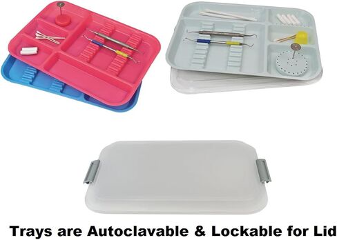 5 Pcs Dental Instrument Divided Tray Autoclavable Medical Instrument Tray Size B - 13 1/2" x 9 5/8" x 7/8" Blue in Kuwait