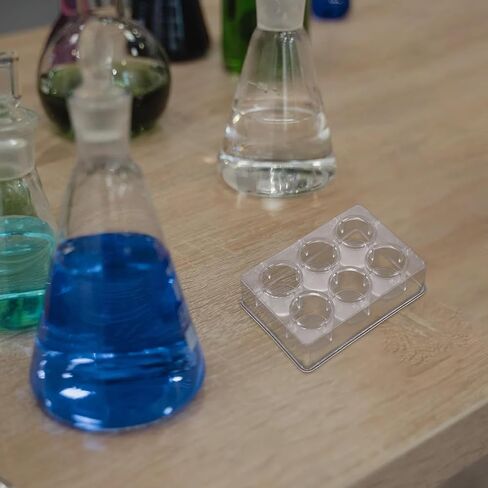 VALICLUD 8pcs 6-Hole Plastic Reaction Plates Set for Chemical Experiments, Laboratory Teaching Well Plates, Multifunctional Experiment Boards for Science Lab Use in Kuwait