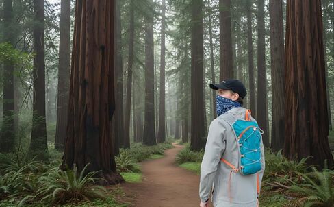 Running Hydration Vest, 0.3 lbs / 0.14 kg Low-Weight Marathon Trail Backpack, 15 x 8.3 x 1.6 in / 38 x 21 x 4 cm Hiking Pack, Adjustable Straps, Multiple Pockets, Blue in Kuwait