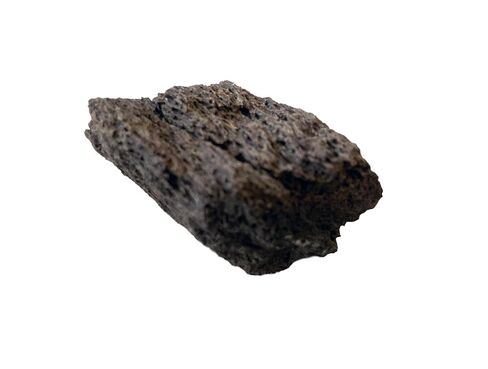 Genuine Triceratops Fossil Bone Fragment – Authentic Dinosaur Fossil from Hell Creek Formation (Late Cretaceous, ~66 Million Years Old) – Natural Specimen, Size Varies in Kuwait