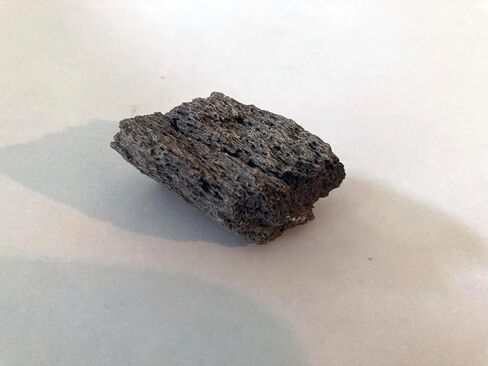 Genuine Triceratops Fossil Bone Fragment – Authentic Dinosaur Fossil from Hell Creek Formation (Late Cretaceous, ~66 Million Years Old) – Natural Specimen, Size Varies in Kuwait