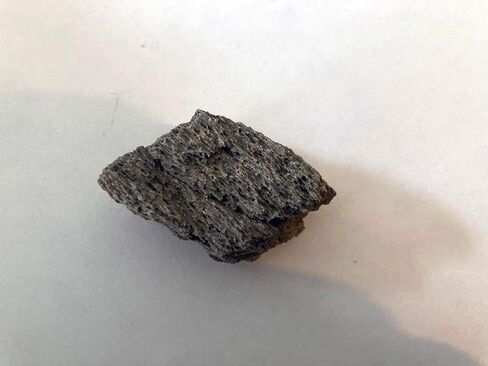 Genuine Triceratops Fossil Bone Fragment – Authentic Dinosaur Fossil from Hell Creek Formation (Late Cretaceous, ~66 Million Years Old) – Natural Specimen, Size Varies in Kuwait