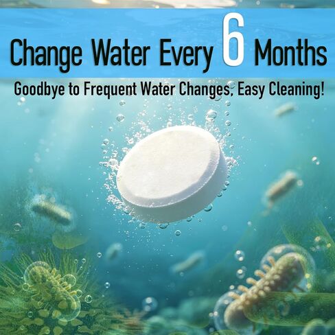 Water Purification Tablets for Rowing Machines, Bulk Pack for Home & Gym Use | Long-Lasting Tank Cleaner, Odor Removal & Eco-Friendly Water Treatment (20) in Saudi Arabia