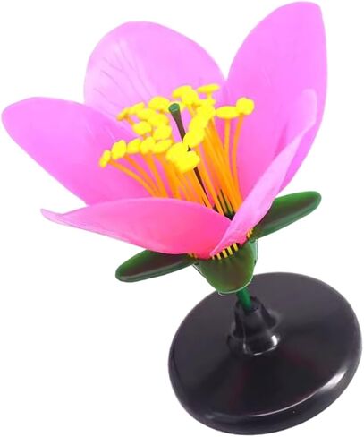 Detailed Dissectible Artificial Blossom Teaching Aid for High School Plant Anatomy Lessons and Science Labs Modular Dissection Flower Model in Kuwait