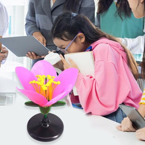 Detailed Dissectible Artificial Blossom Teaching Aid for High School Plant Anatomy Lessons and Science Labs Modular Dissection Flower Model in Kuwait