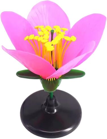 Detailed Dissectible Artificial Blossom Teaching Aid for High School Plant Anatomy Lessons and Science Labs Biology Teaching for Students in Kuwait