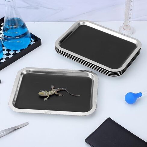 Dissection Pans Rectangular Seamless Construction with Wax Lining 6pcs Stainless Steel and Stable Flat Base, for Science and Advanced Biology Labs, for Students and Teachers in Kuwait