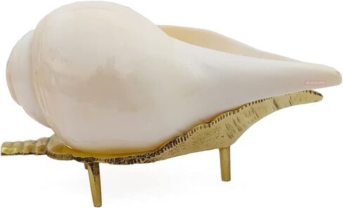 Original Pure Natural Traditional Jal Shankh with Stand for puja Size 4.5inch (11.5cm) by Indian Collectible in Kuwait