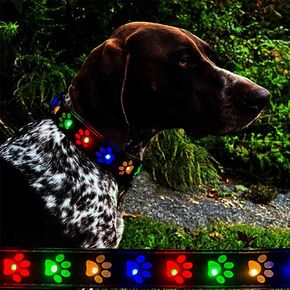 customized Dog Collar with airag holder LED Light Up - USB Rechargeable Waterproof Dog Collar Light for Small Medium Large Dogs (BLACK, S(7.87-11.8"))