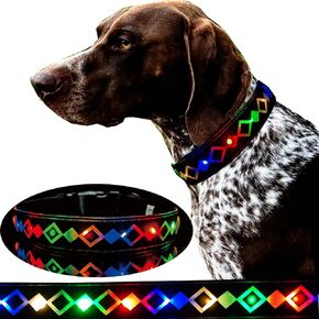 CUSTOMLIZE Night light up dog collar with waterproof airtag holder,super bright USB C rechargeable ajustable size for dogs (BLACK with waterproof airtag holder, S(7.87-11.8"))
