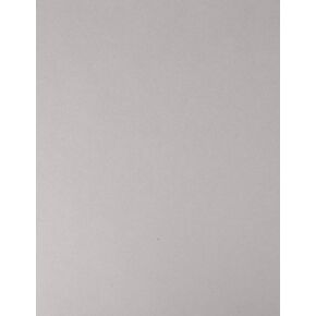 100 Assorted Colored Sheet Card Stock Paper - Vellum Bristol Cover, Copy Paper, Printer Paper, 67lb, 147gsm, 8.5" x 11", 20 Pieces of 5 Different Colored Paper (Pink, Blue, Green, Cream, Gray)
