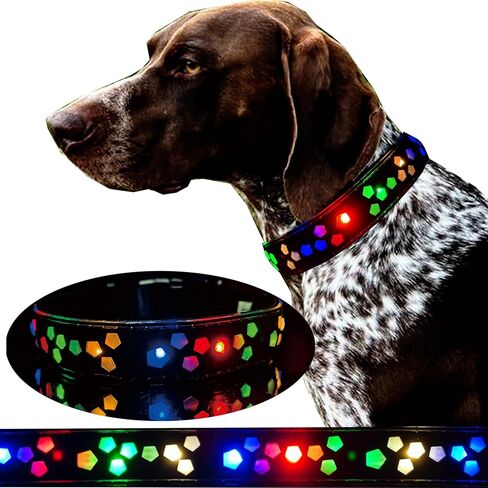 Dog Collar USB C Rechargeable LED Light Up Dog Collar Adjustable Soft Silicone Collar for Medium Large Dogs (BLACK, M(11.8-15.7")) in Kuwait