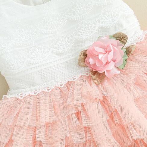 Baby Girl Flower Dress Lace Tutu Dress Cap Sleeve Zipper Closure A-Line Tulle Party Princess Dress Cute Outfit in Saudi Arabia