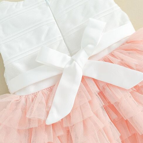 Baby Girl Flower Dress Lace Tutu Dress Cap Sleeve Zipper Closure A-Line Tulle Party Princess Dress Cute Outfit in Saudi Arabia