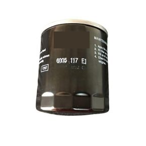 6905117F1 Filter Element Replacement in Kuwait