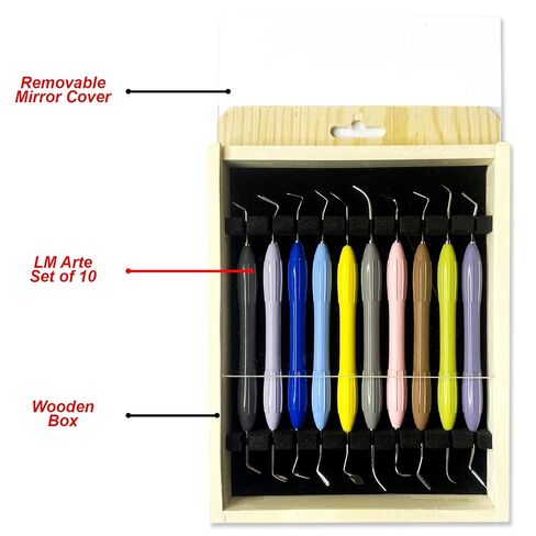 LM Arte Dental Composite Filling Instruments Set of 10 – Silicone Handle Restorative & Composite Modeling Tools with Wooden Storage Box and Removable Mirror Cover in Kuwait