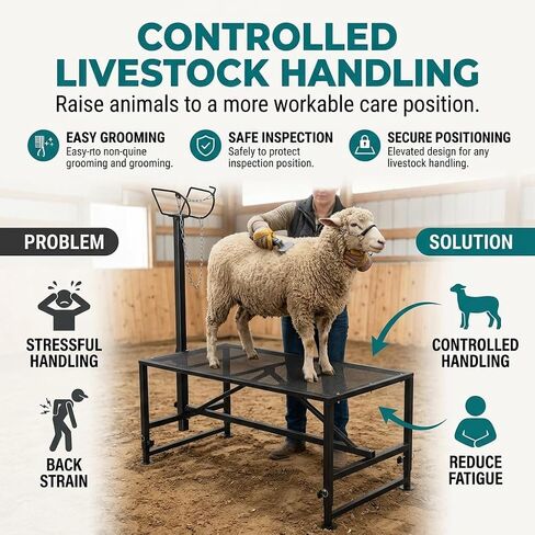 Goat Rack Black - Generic Storage Rack - Clean, Versatile Display and Organization Solution for Home, Shop, or Utility Use in Kuwait