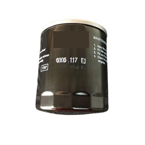 6905117F1 Filter Element Replacement in Kuwait